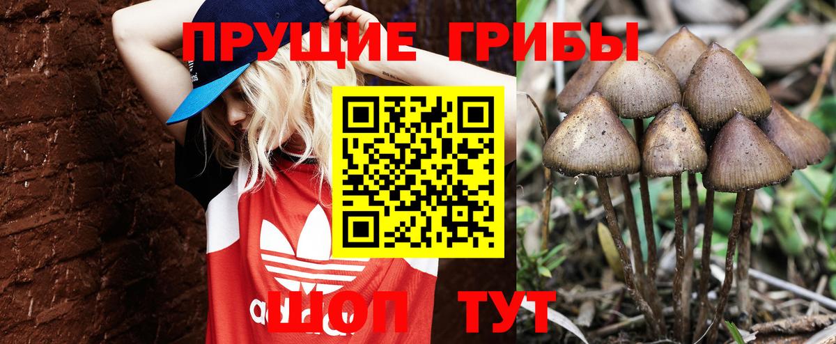 Псилоцибиновые грибы MAGIC MUSHROOMS  Галлюциногенные грибы мицелий  Апатиты  цены наркотик  Вход с VPN 