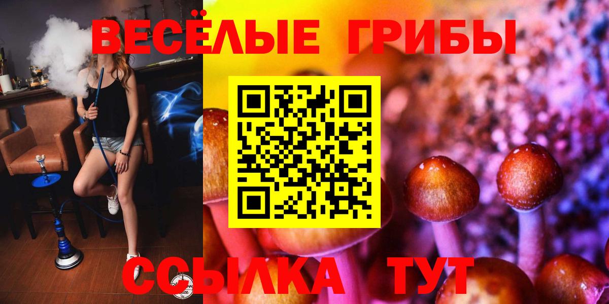 Псилоцибиновые грибы прущие грибы Апатиты